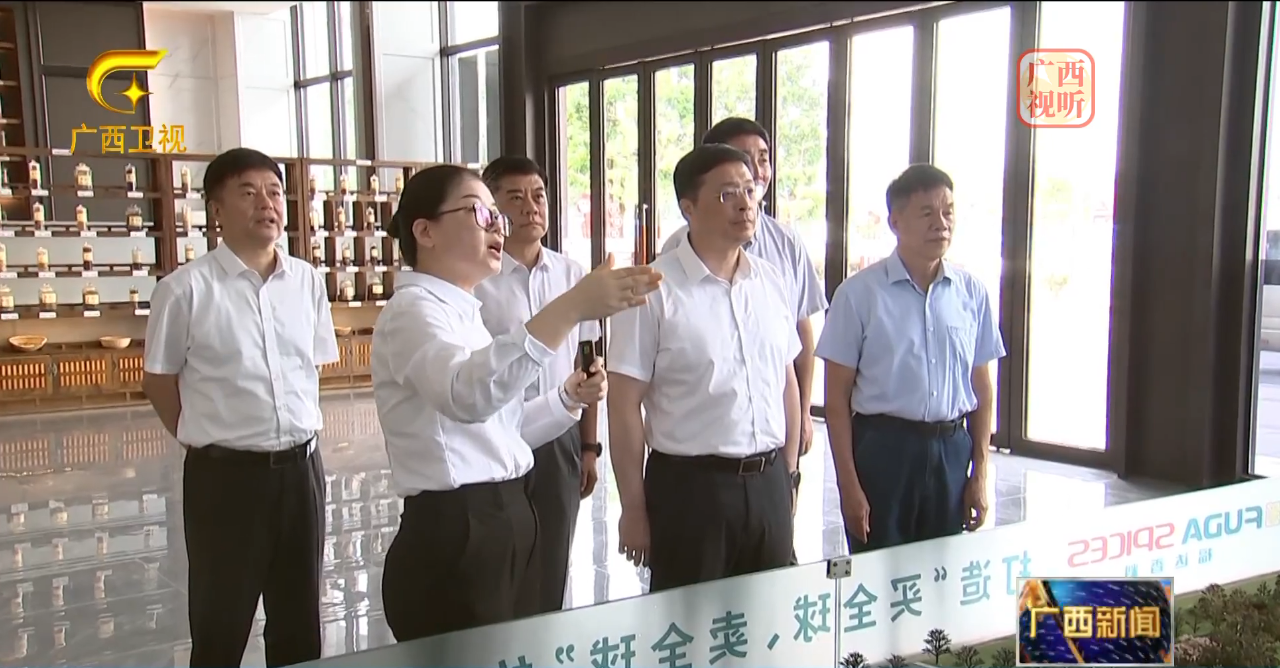 自治区代主席韦韬到玉林福达国际香料物流港调研